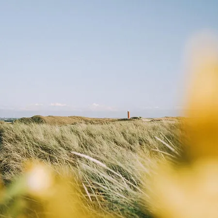 Zeevogel - Aan Zee Holiday home *
