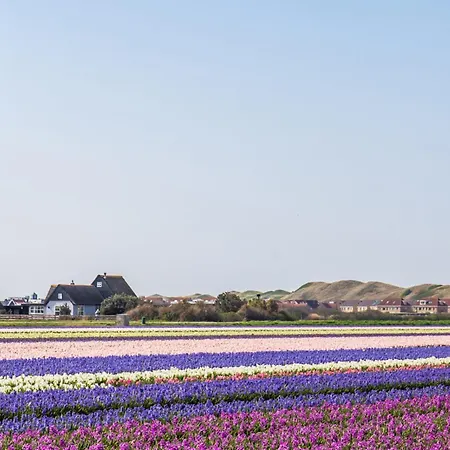 Zeevogel - Aan Zee Hébergement de vacances